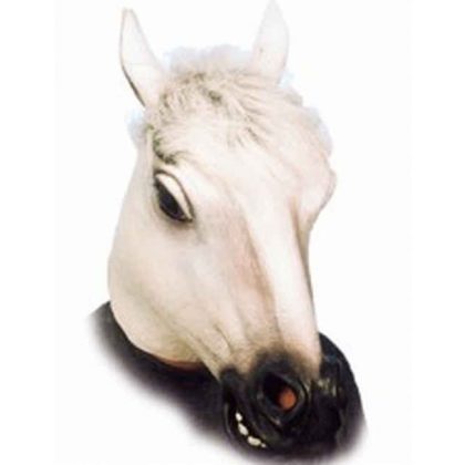 hlava koně bílá