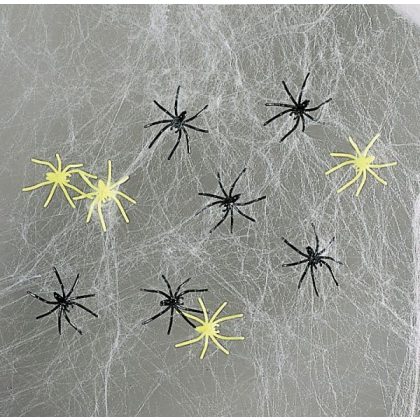 pavučinka s pavouky