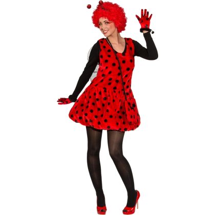 Foto - dámský kostým beruška de luxe