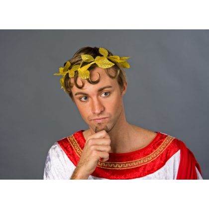 olivová ratolest de luxe