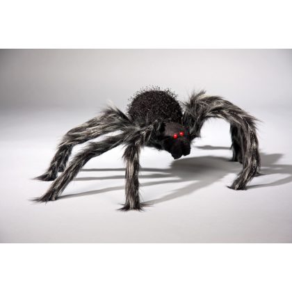obrovská tarantule měnící barvy