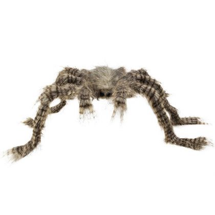 pavouk chlupatý hnědý 70 cm