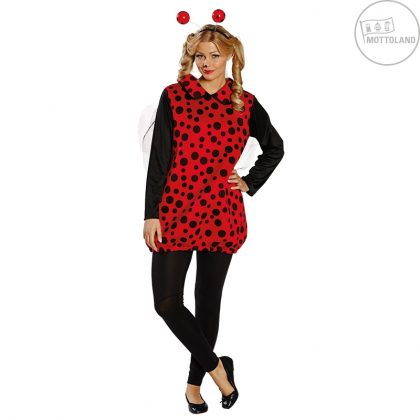 dámský kostým beruška