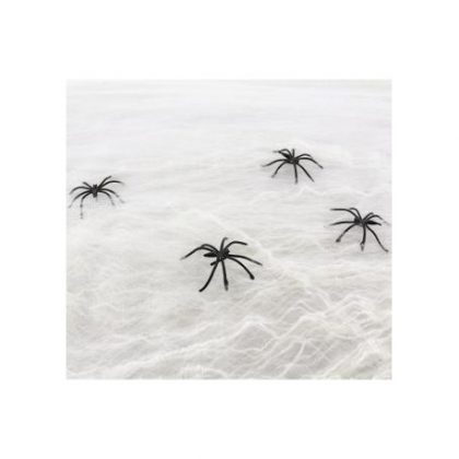 pavučina s pavouky 20g