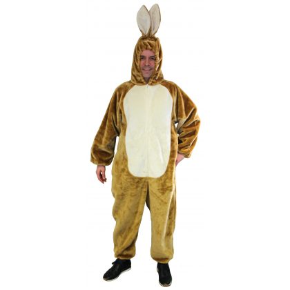 overal zajíce