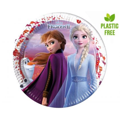 papírové talířky Frozen 2