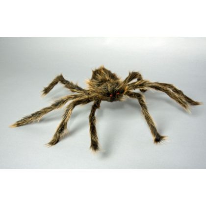 chlupatý pavouk 70 cm
