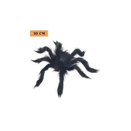 pavouk chlupatý černý