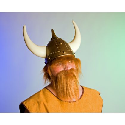 vikingovské vousy