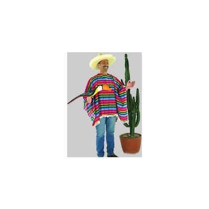 Foto - mexické pánské poncho
