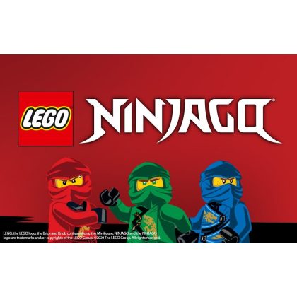 Foto - chlapecký kostým ninja Lloyd zelený Ninjago