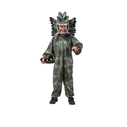 Foto - dětský kostým dinosaurus