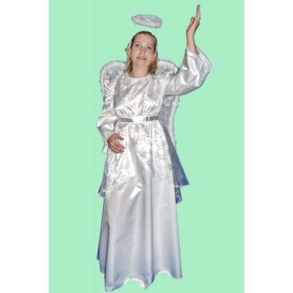 Foto - kostým stříbrného anděla de luxe