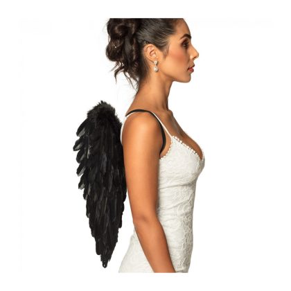 Foto - černá péřová křídla
