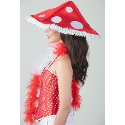 Foto - klobouk mochomůrka premium