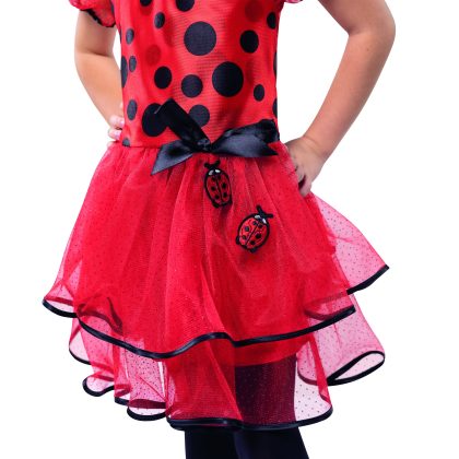 Foto - dívčí kostým beruška