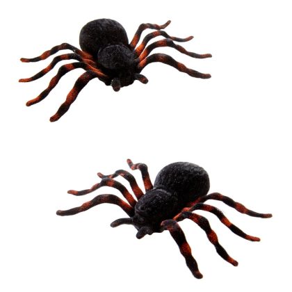 Foto - 2 tarantule